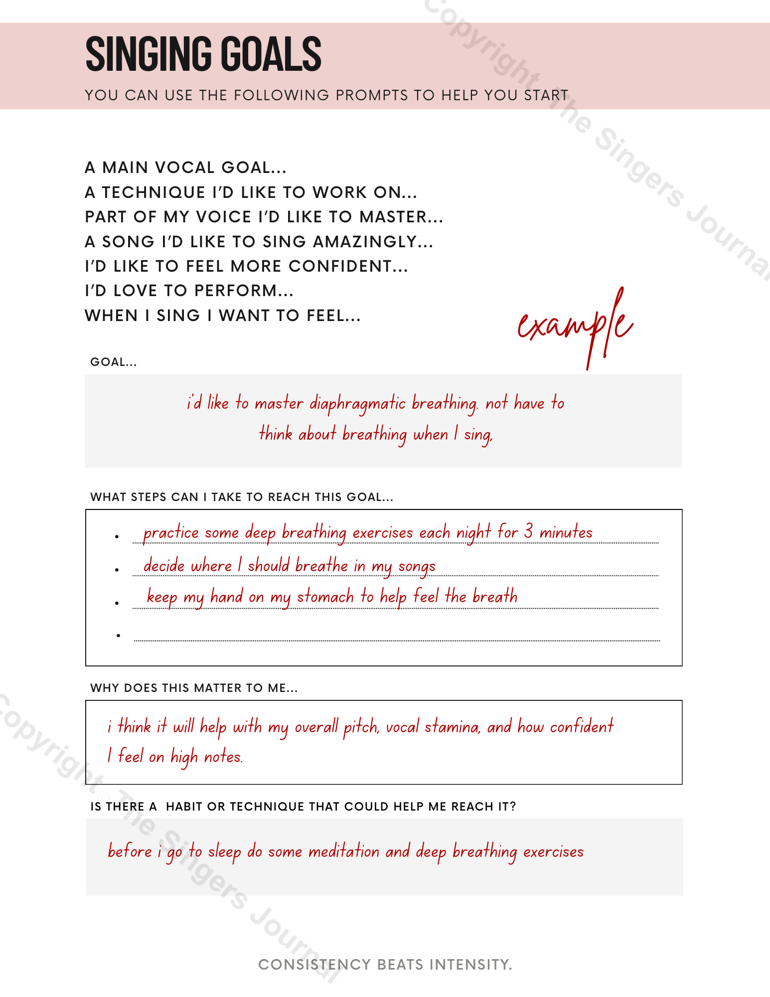 The Singer's Journal